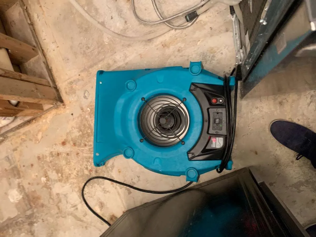 Air mover drying equipment for Mold Remediation & Removal in Coalinga